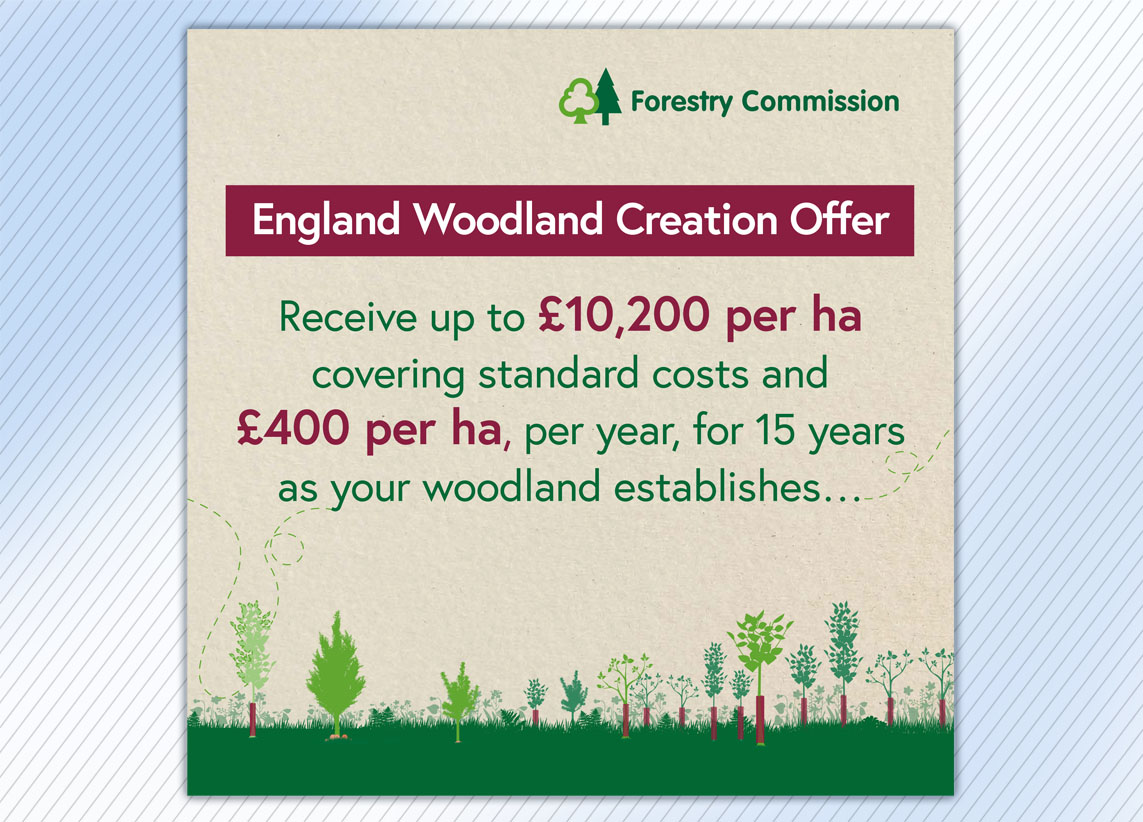 Forestry Commission Create Woodland carousel graphic